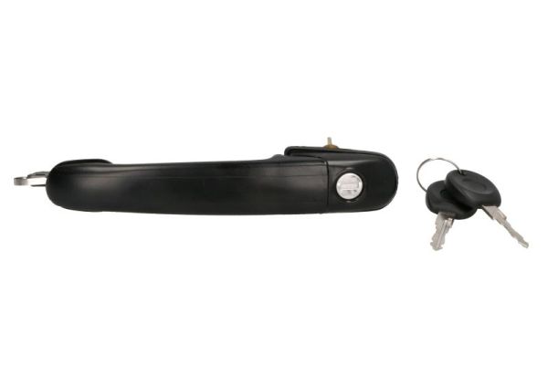 Door Handle BLIC 6010-01-009401P