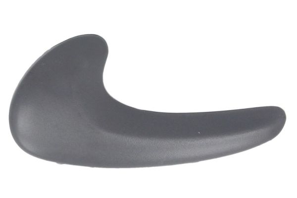 Exterior Door Handle BLIC 6010-02-018409PPP