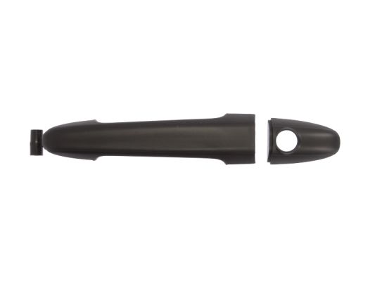 Door Handle BLIC 6010-02-065417P