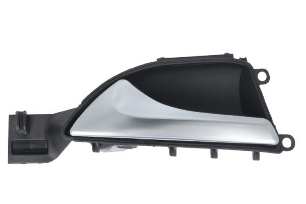 Exterior Door Handle BLIC 6010-02-068409P
