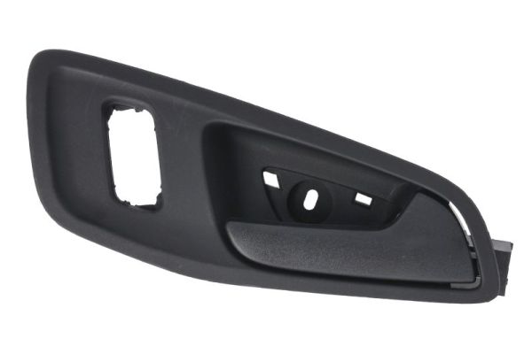 Exterior Door Handle BLIC 6010-03-0432408P