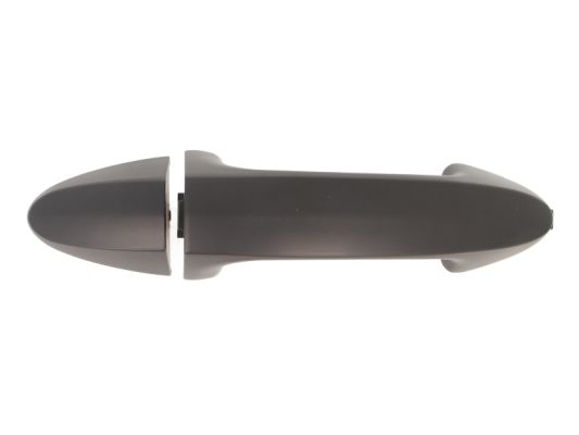 Door Handle BLIC 6010-03-046402P