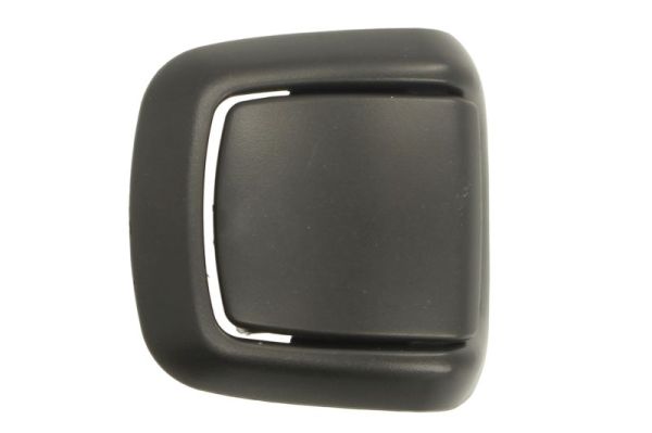 Door Handle BLIC 6010-03-046409C