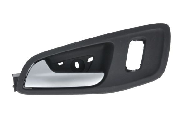 Exterior Door Handle BLIC 6010-03-056409P
