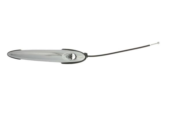 Door Handle BLIC 6010-05-003401P