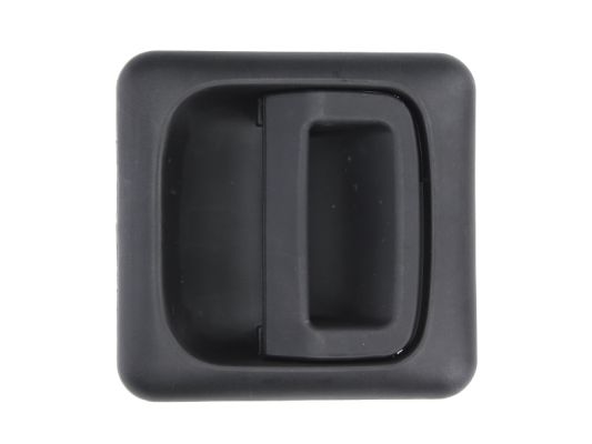 Door Handle BLIC 6010-07-031403P
