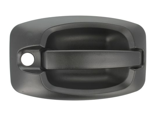 Door Handle BLIC 6010-07-038401P