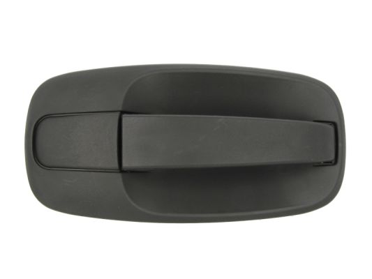 Door Handle BLIC 6010-09-041402P
