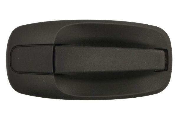 Door Handle BLIC 6010-09-041410P
