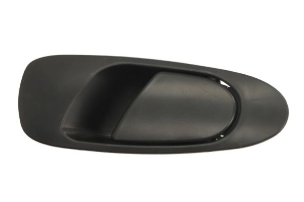 Door Handle BLIC 6010-12-017403P
