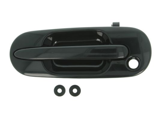 Door Handle BLIC 6010-12-028401P