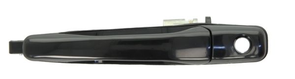 Door Handle BLIC 6010-15-038401P