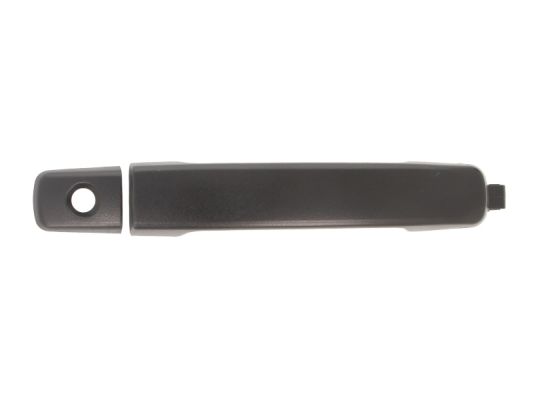 Door Handle BLIC 6010-16-038401P
