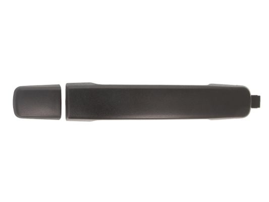 Door Handle BLIC 6010-16-038402P