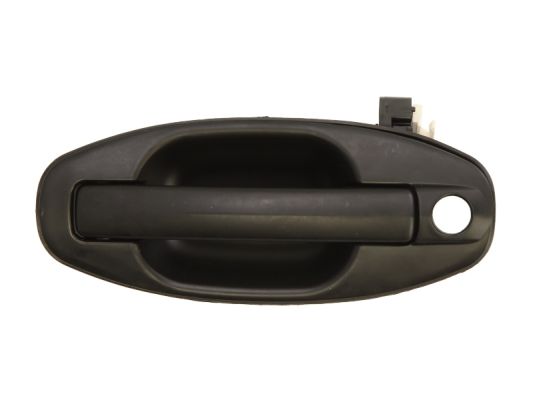 Door Handle BLIC 6010-20-021401P