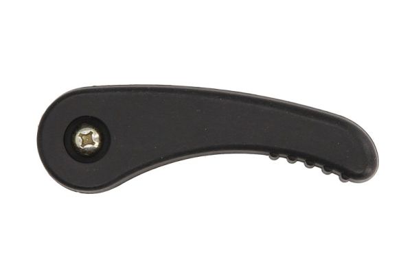 Door Handle BLIC 6010-21-015417PPC