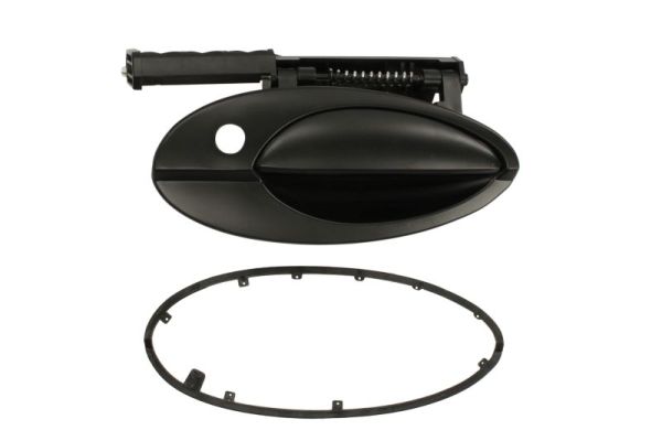 Door Handle BLIC 6010-21-020402P