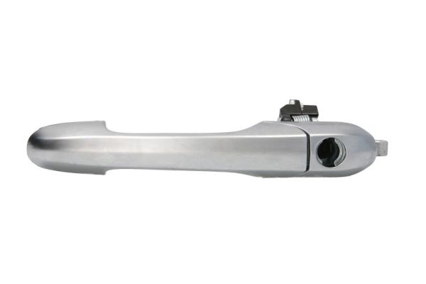 Door Handle BLIC 6010-22-011401P