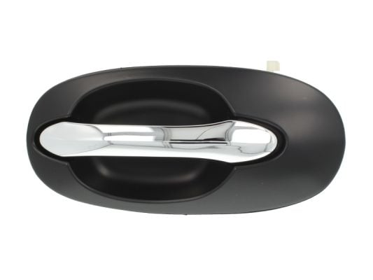 Door Handle BLIC 6010-53-012403P