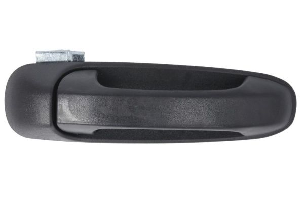 Exterior Door Handle BLIC 6010-55-007404P