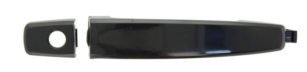 Door Handle BLIC 6010-56-005405P