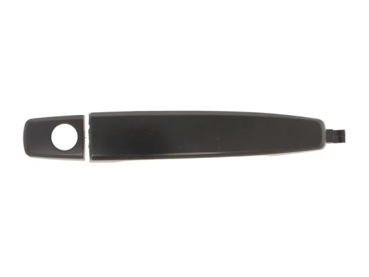 Door Handle BLIC 6010-56-009401P
