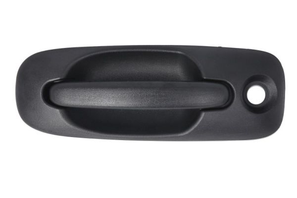 Exterior Door Handle BLIC 6010-58-013401P