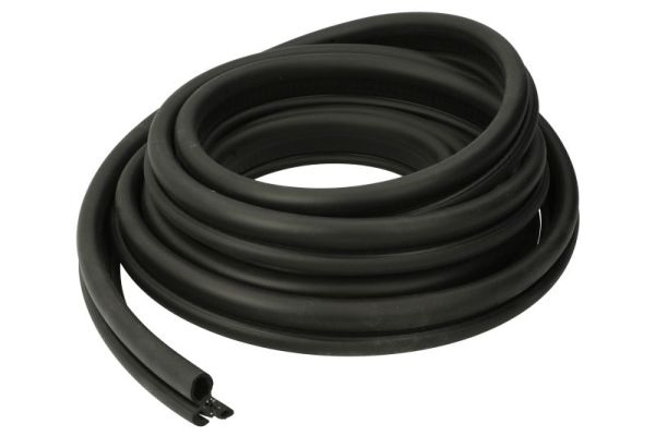 Door Seal BLIC 5703-04-2042507P