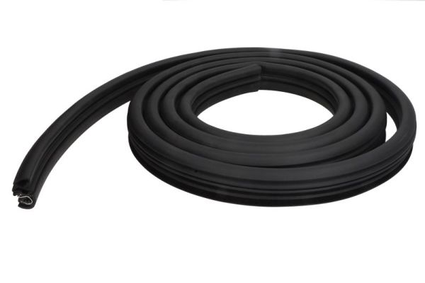 Door Seal BLIC 5703-04-5511503P