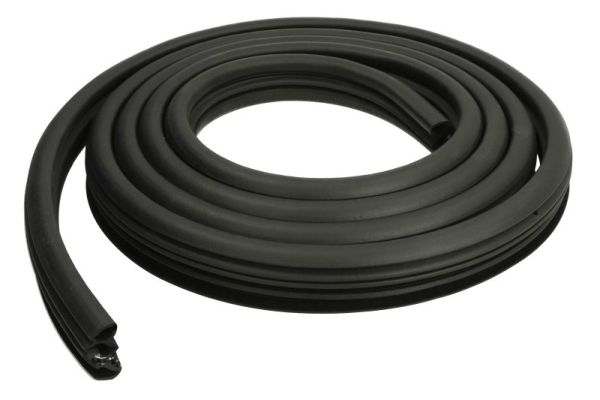 Door Seal BLIC 5703-04-5527503P