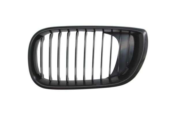 Radiator Grille BLIC 6502-07-0061993BP