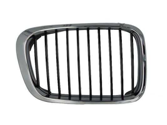 Radiator Grille BLIC 6502-07-0061994P