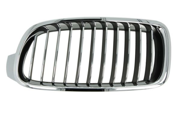 Radiator Grille BLIC 6502-07-0063997P