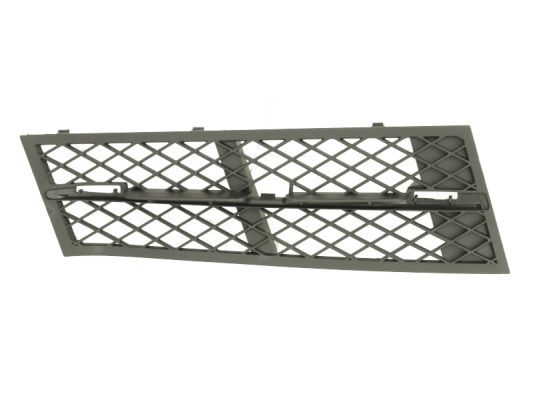 Ventilation Grille, bumper BLIC 6502-07-0067915P