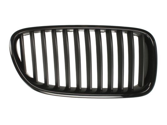 Radiator Grille BLIC 6502-07-0067991P