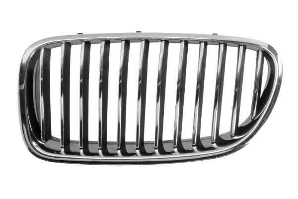 Radiator Grille BLIC 6502-07-0067993Q