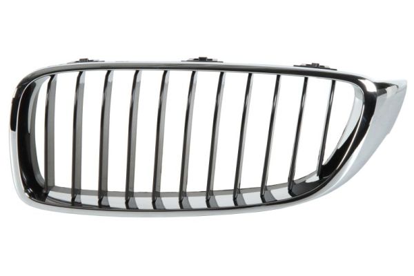 Radiator Grille BLIC 6502-07-0070991P