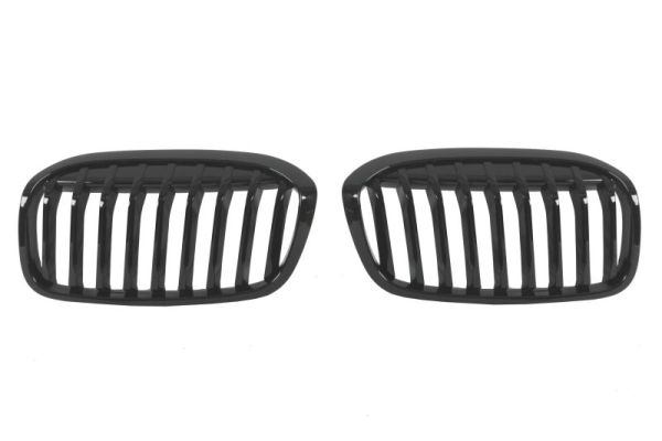 Radiator Grille BLIC 6502-07-0071995P