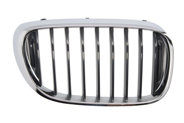 Radiator Grille BLIC 6502-07-0078992P