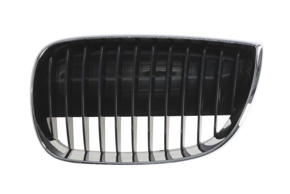 Radiator Grille BLIC 6502-07-0085993P