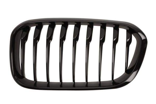Radiator Grille BLIC 6502-07-0086997P