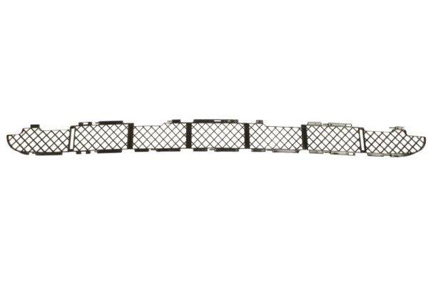 Ventilation Grille, bumper BLIC 6502-07-0095914P