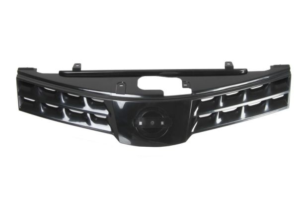 Radiator Grille BLIC 6502-07-1635990P