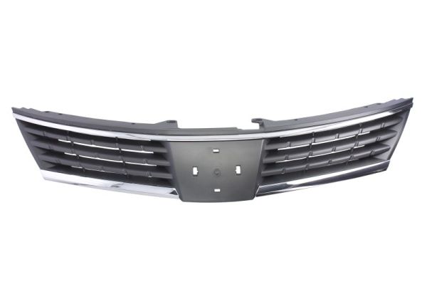 Radiator Grille BLIC 6502-07-1636990P