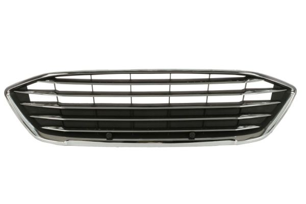 Radiator Grille BLIC 6502-07-2537991P