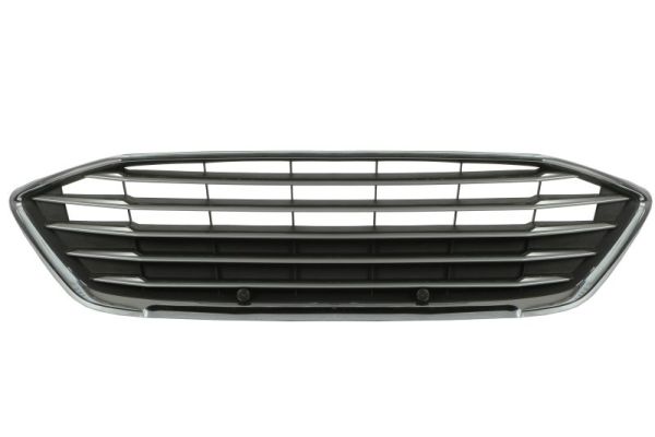 Radiator Grille BLIC 6502-07-2537992P