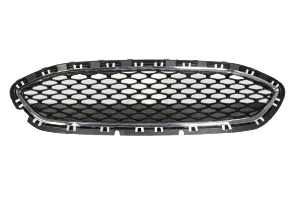 Radiator Grille BLIC 6502-07-2566990P