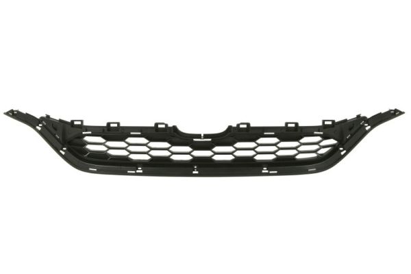 Radiator Grille BLIC 6502-07-2958995P