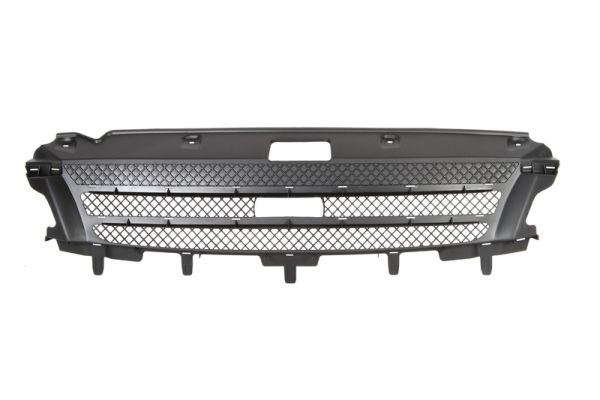 Radiator Grille BLIC 6502-07-3081990P