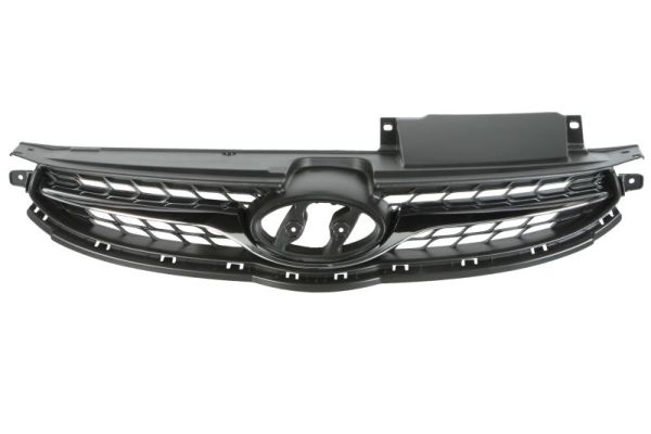 Radiator Grille BLIC 6502-07-3171990P